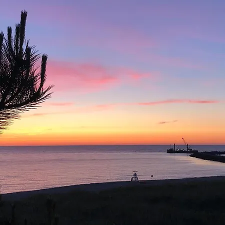 Lovely In With Wifi ダルウフコ